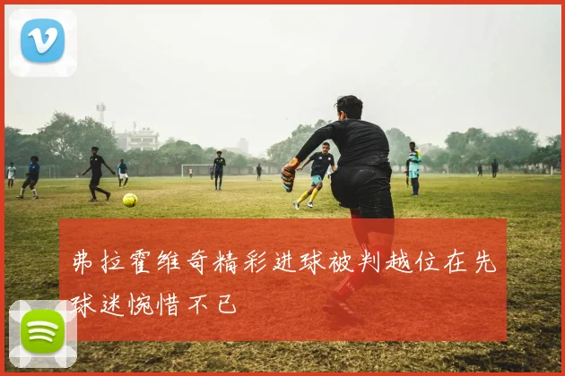 弗拉霍维奇精彩进球被判越位在先球迷惋惜不已